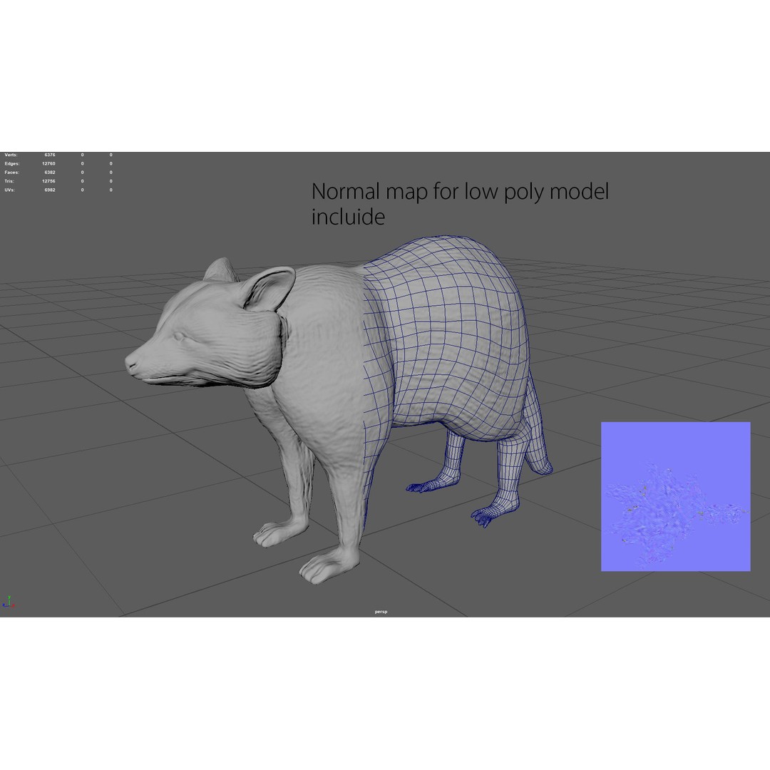Raccoon 3D Model – Low Poly Game Asset, FBX, PBR Textures - View 11