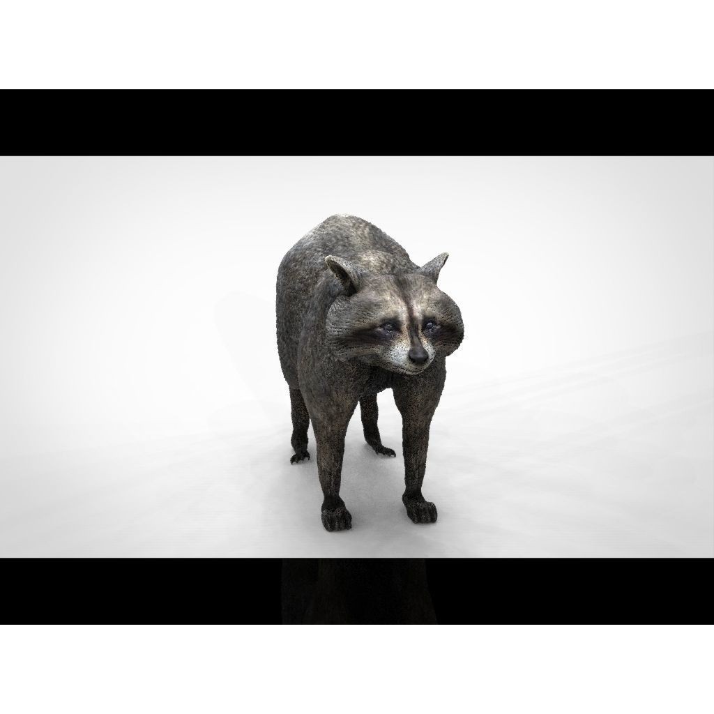 Raccoon 3D Model – Low Poly Game Asset, FBX, PBR Textures - View 13