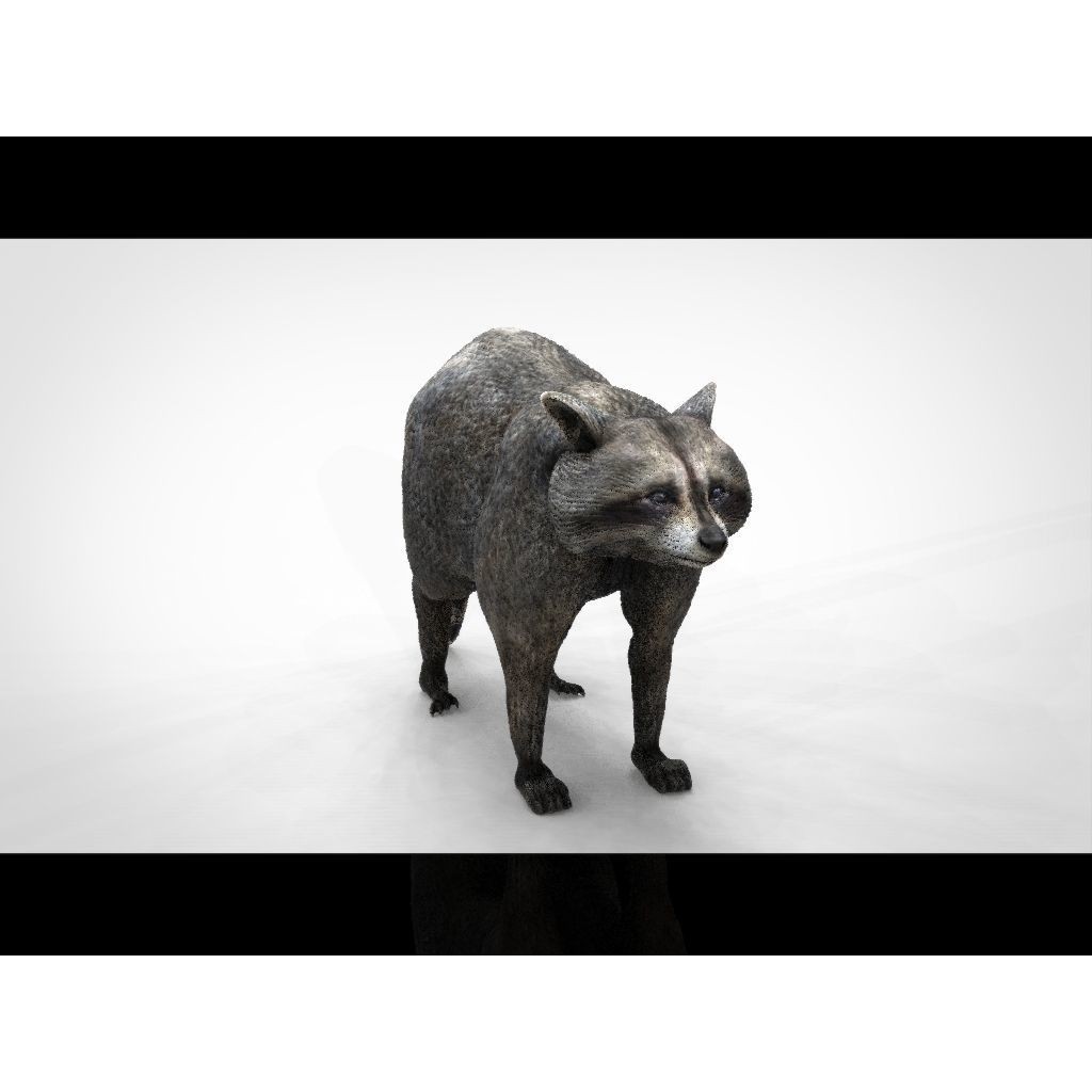 Raccoon 3D Model – Low Poly Game Asset, FBX, PBR Textures - View 14