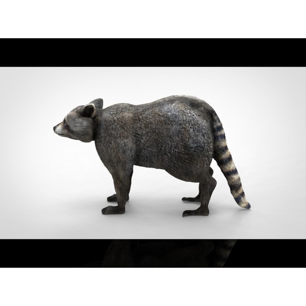 Raccoon 3D Model – Low Poly Game Asset, FBX, PBR Textures - View 15