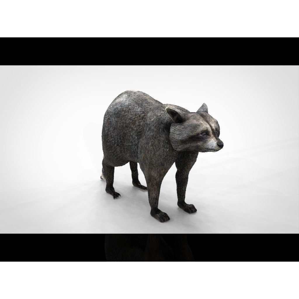 Raccoon 3D Model – Low Poly Game Asset, FBX, PBR Textures - View 16