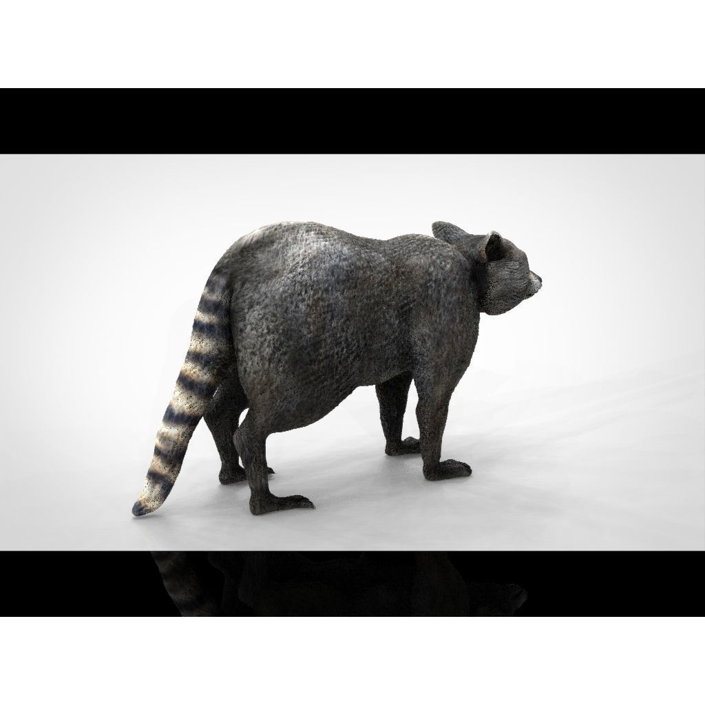 Raccoon 3D Model – Low Poly Game Asset, FBX, PBR Textures - View 17