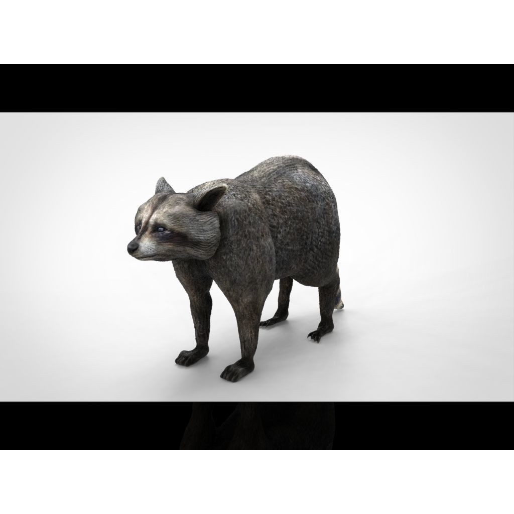 Raccoon 3D Model – Low Poly Game Asset, FBX, PBR Textures - View 19