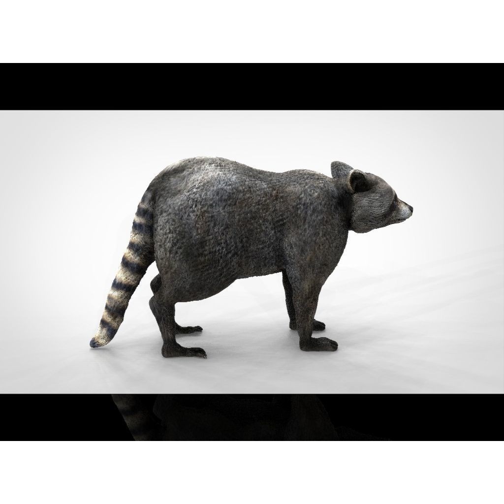Raccoon 3D Model – Low Poly Game Asset, FBX, PBR Textures - View 20
