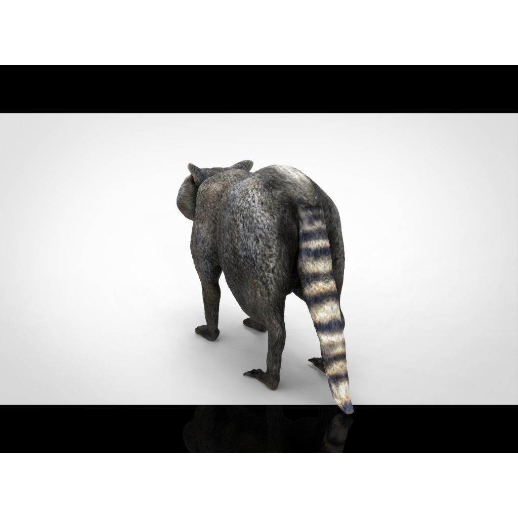 Raccoon 3D Model – Low Poly Game Asset, FBX, PBR Textures - View 21