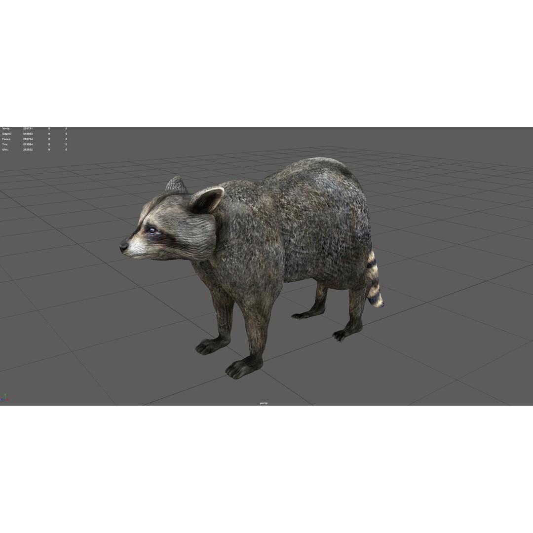 Raccoon 3D Model – Low Poly Game Asset, FBX, PBR Textures - View 5