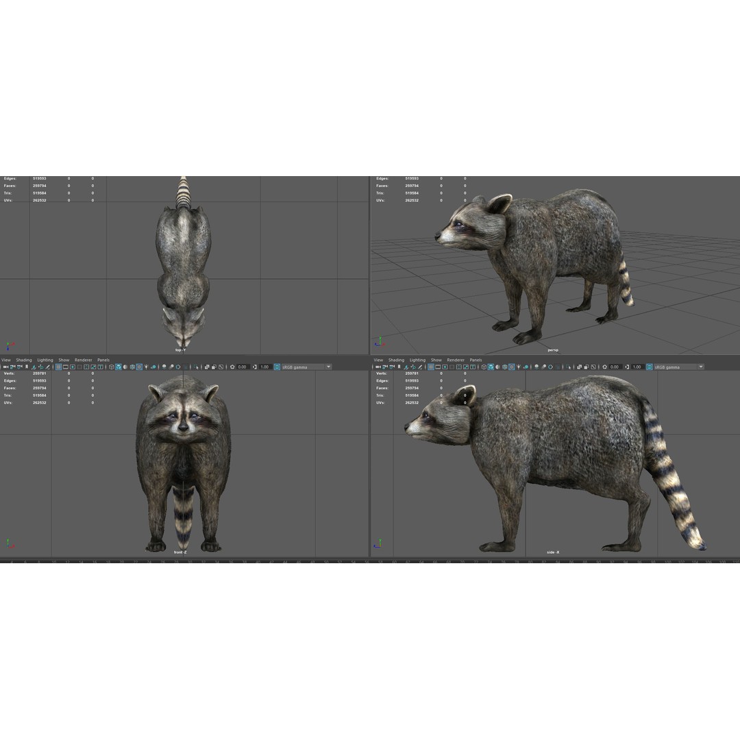 Raccoon 3D Model – Low Poly Game Asset, FBX, PBR Textures - View 7