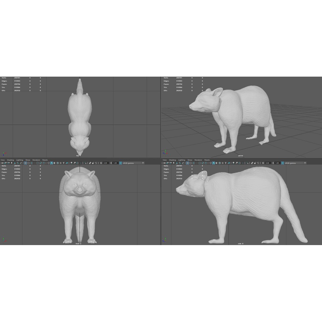 Raccoon 3D Model – Low Poly Game Asset, FBX, PBR Textures - View 8