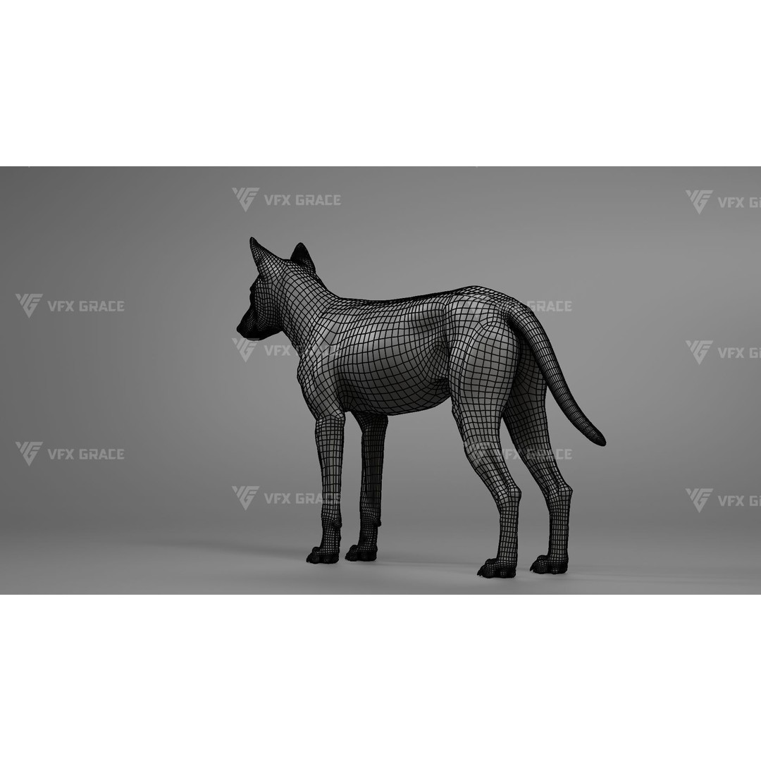 Arctic Wolf 3D Model – Realistic Rigged Animation, Blender - View 11