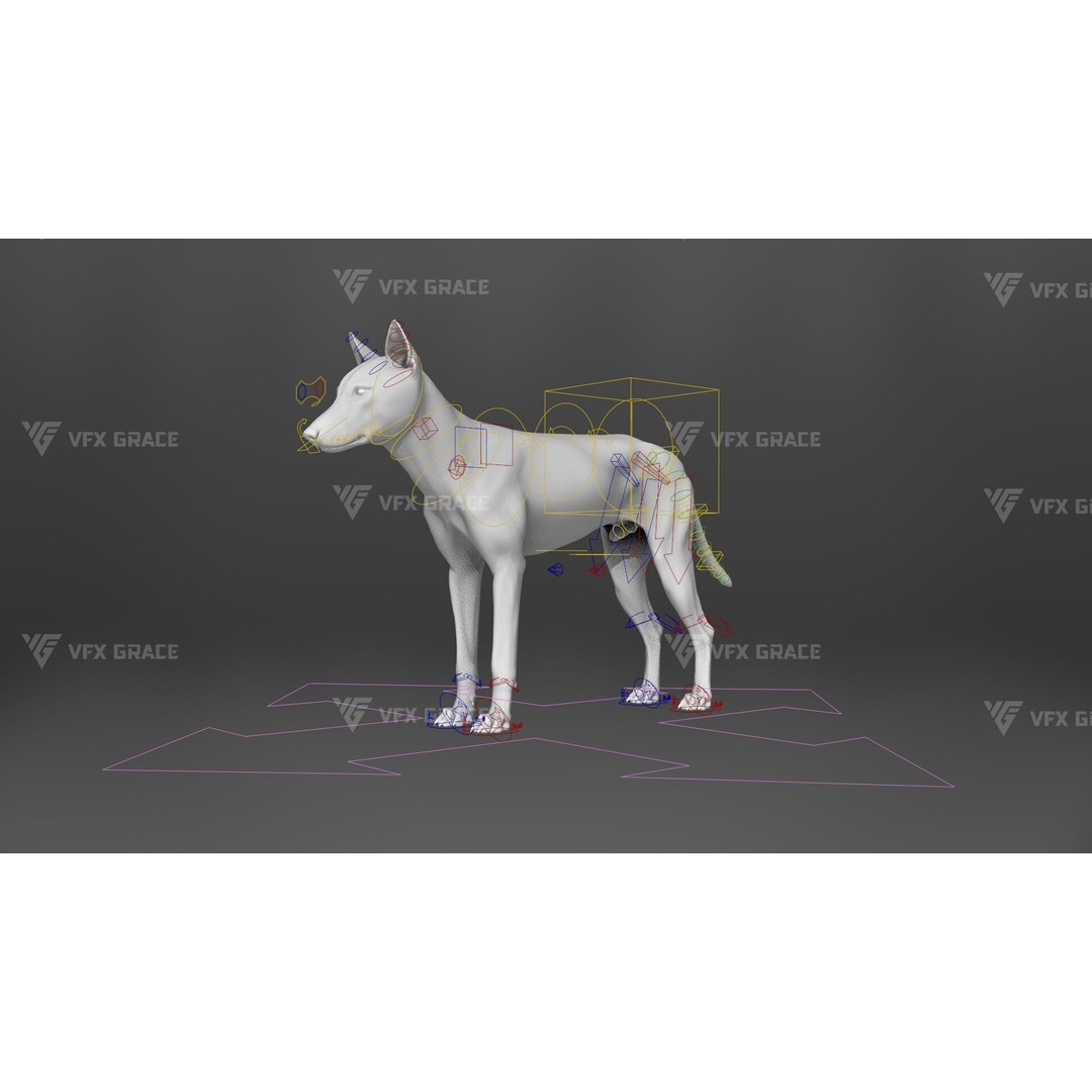 Arctic Wolf 3D Model – Realistic Rigged Animation, Blender - View 12