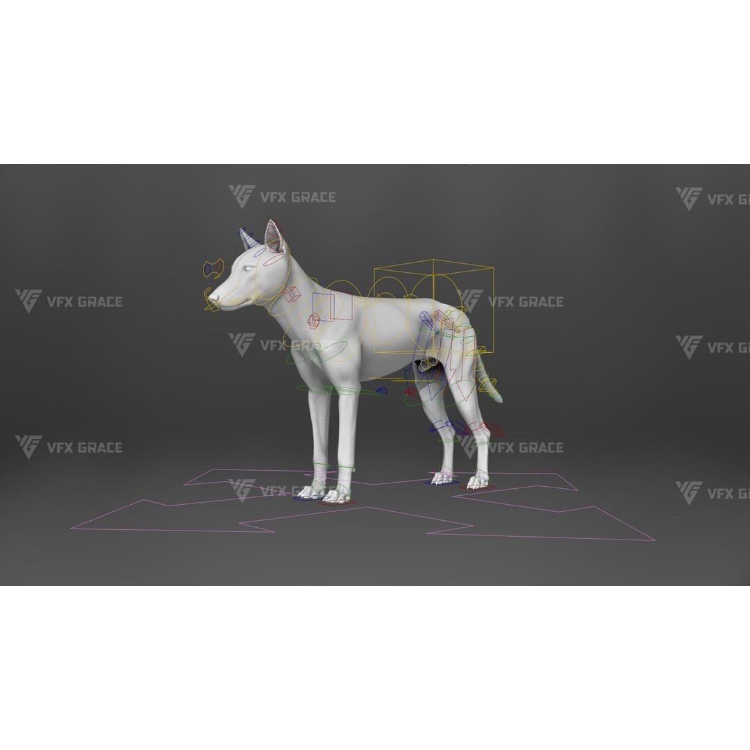 Arctic Wolf 3D Model – Realistic Rigged Animation, Blender - View 13