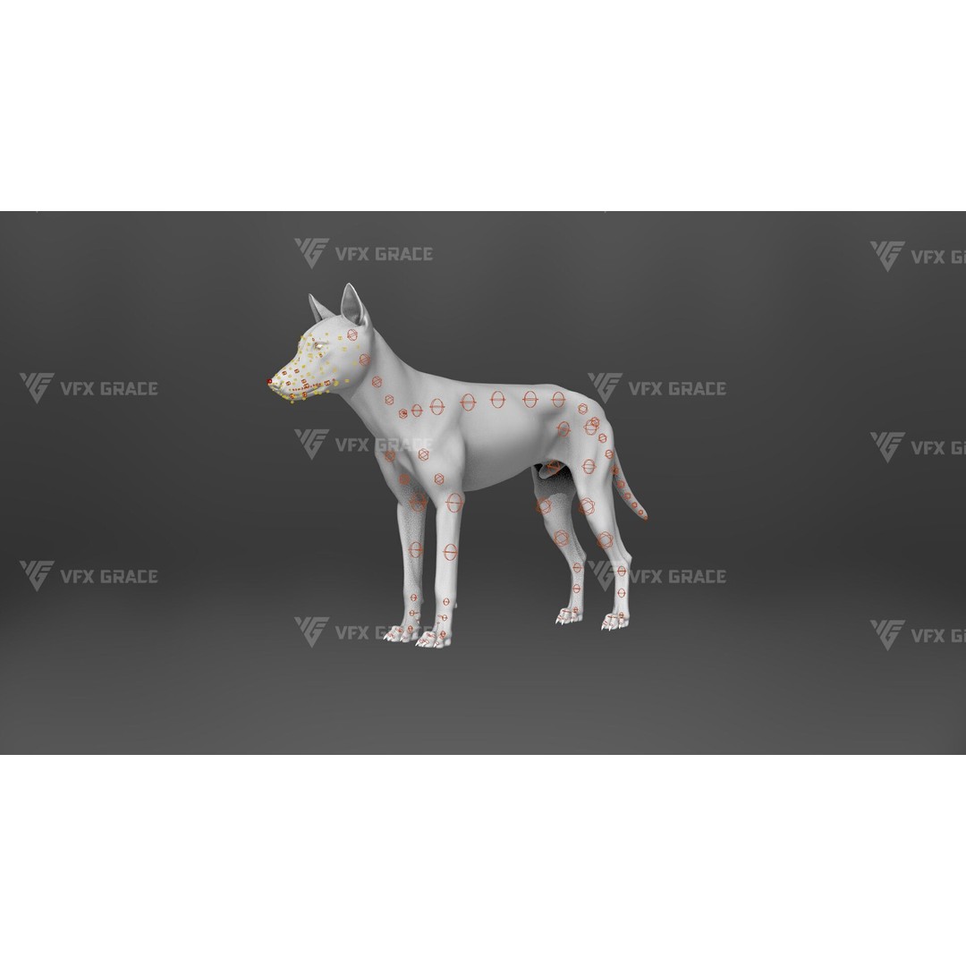 Arctic Wolf 3D Model – Realistic Rigged Animation, Blender - View 14