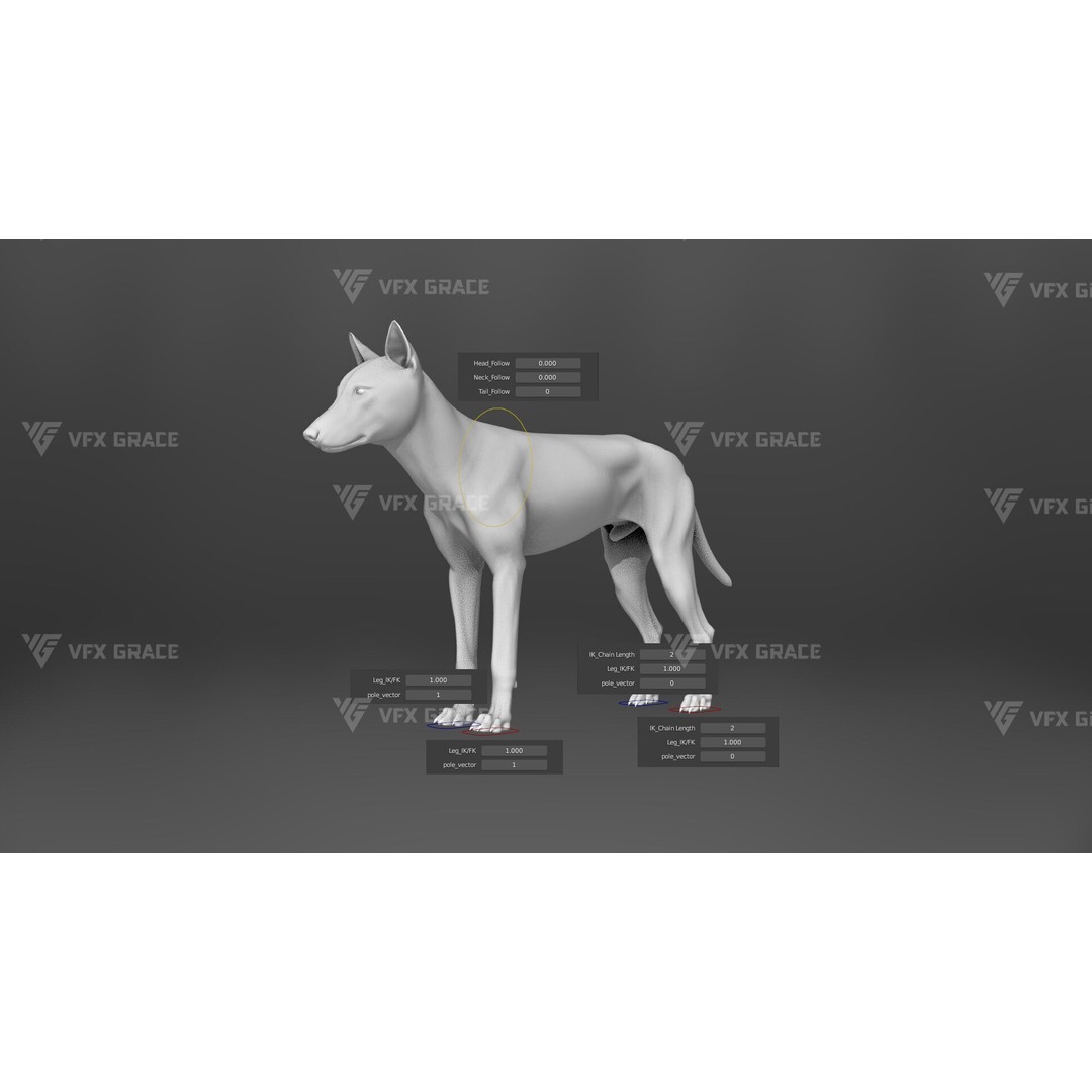 Arctic Wolf 3D Model – Realistic Rigged Animation, Blender - View 15