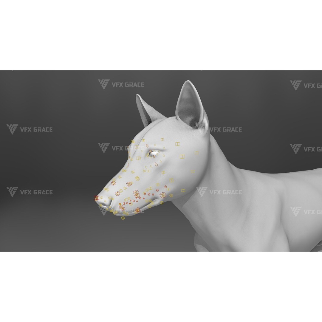 Arctic Wolf 3D Model – Realistic Rigged Animation, Blender - View 16