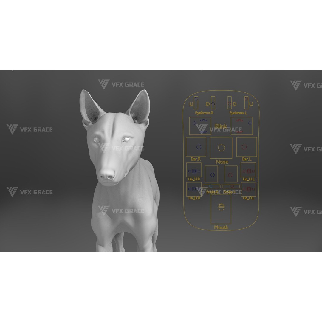 Arctic Wolf 3D Model – Realistic Rigged Animation, Blender - View 17