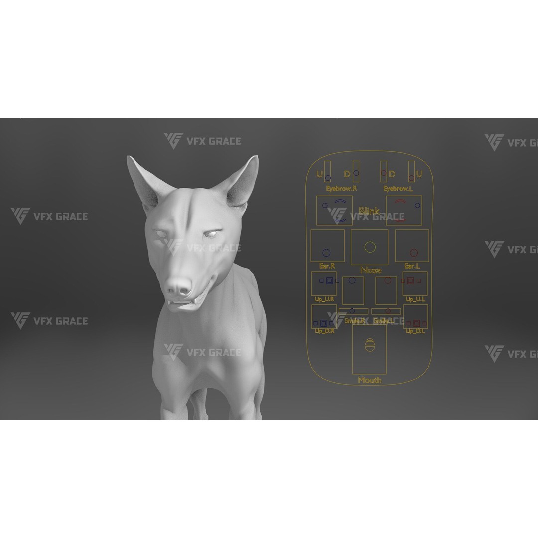 Arctic Wolf 3D Model – Realistic Rigged Animation, Blender - View 18