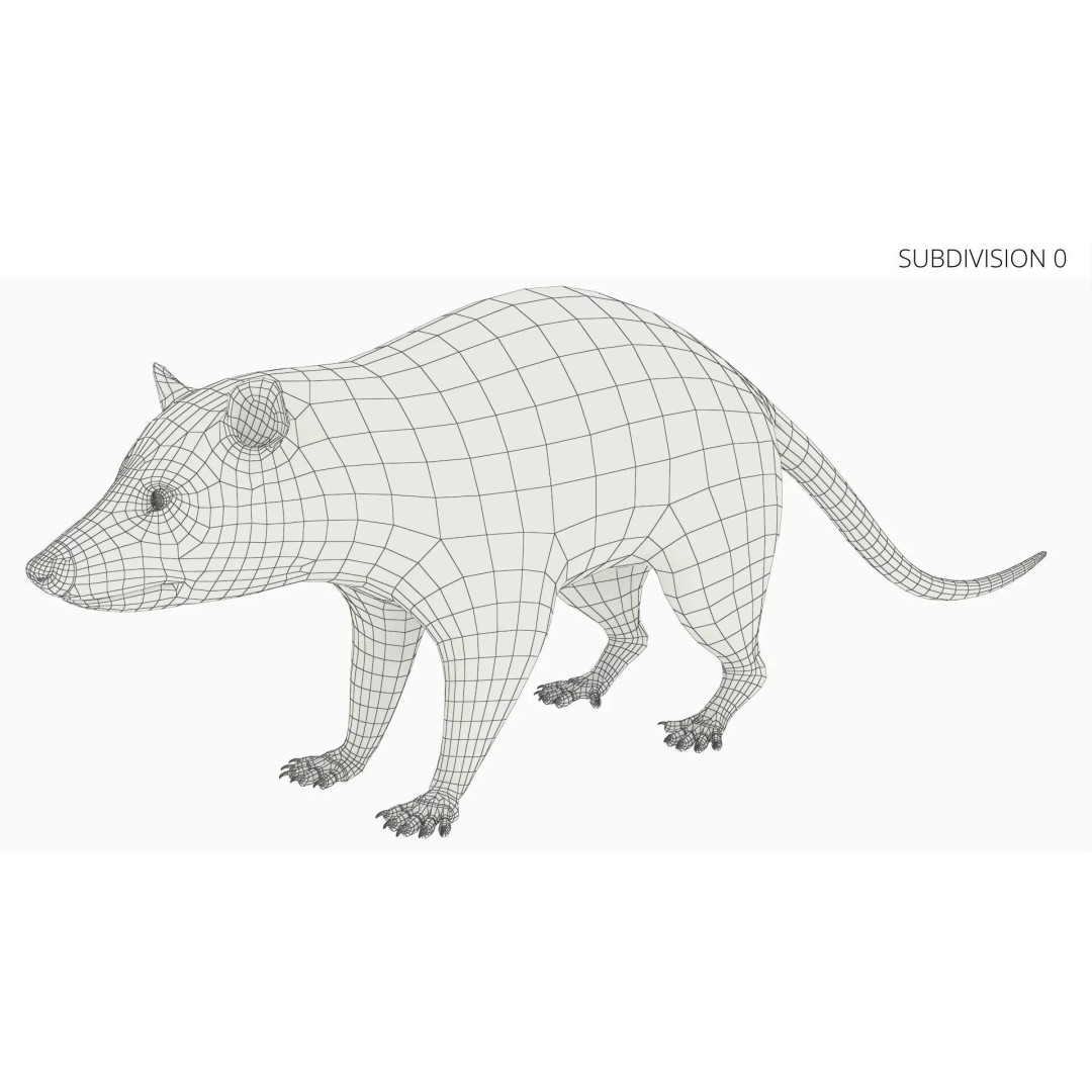 Opossum 3D Model – Rigged Animated Character for Cinema 4D - View 10