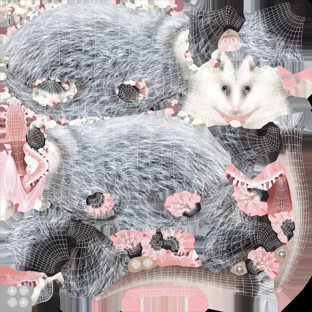 Opossum 3D Model – Rigged Animated Character for Cinema 4D - View 14