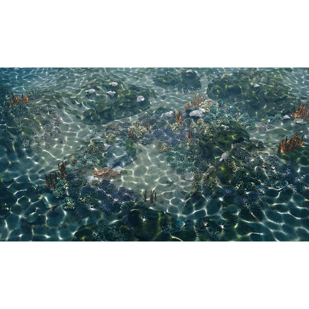 Underwater Coral Reef Habitat 3D Model – Low Poly Game Asset, FBX - View 10