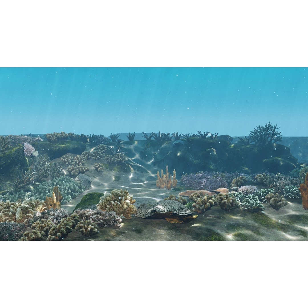 Underwater Coral Reef Habitat 3D Model – Low Poly Game Asset, FBX - View 11