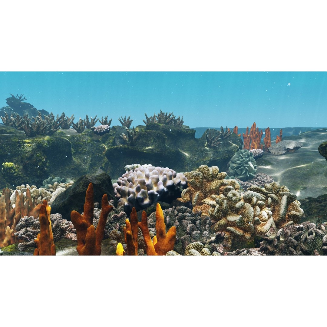 Underwater Coral Reef Habitat 3D Model – Low Poly Game Asset, FBX - View 12