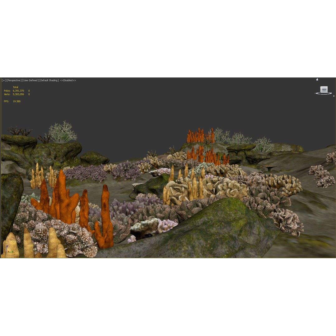 Underwater Coral Reef Habitat 3D Model – Low Poly Game Asset, FBX - View 14