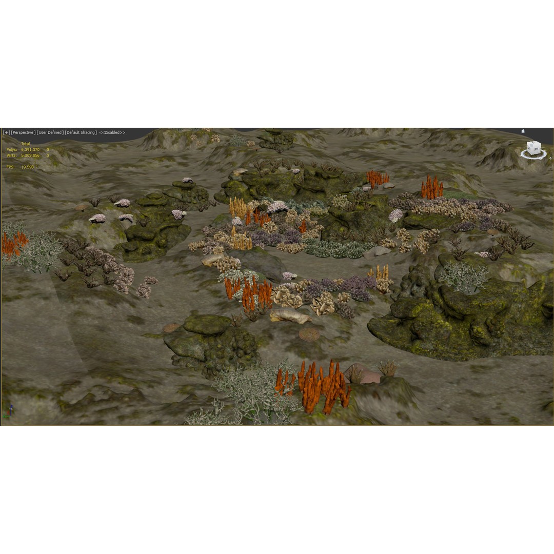 Underwater Coral Reef Habitat 3D Model – Low Poly Game Asset, FBX - View 15