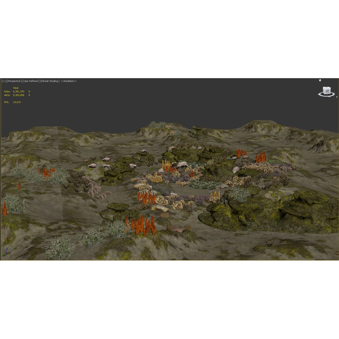 Underwater Coral Reef Habitat 3D Model – Low Poly Game Asset, FBX - View 16