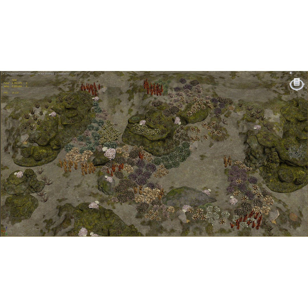 Underwater Coral Reef Habitat 3D Model – Low Poly Game Asset, FBX - View 19