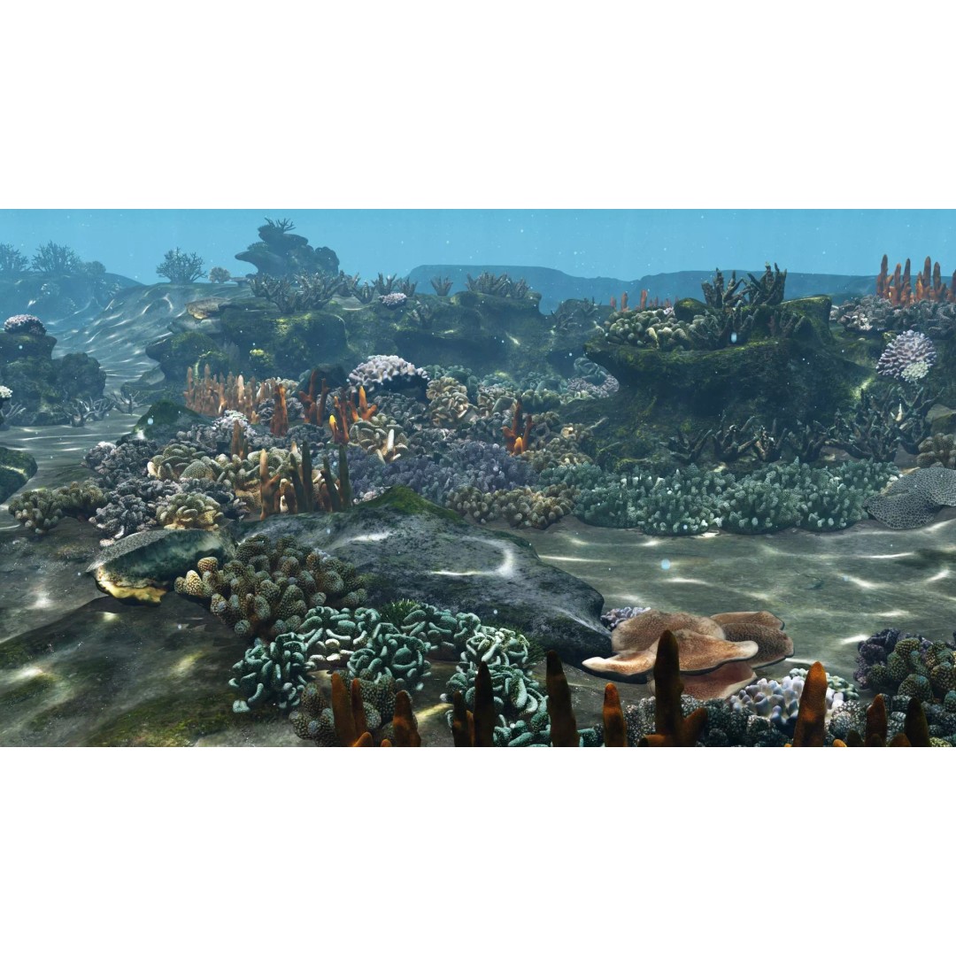 Underwater Coral Reef Habitat 3D Model – Low Poly Game Asset, FBX - View 2