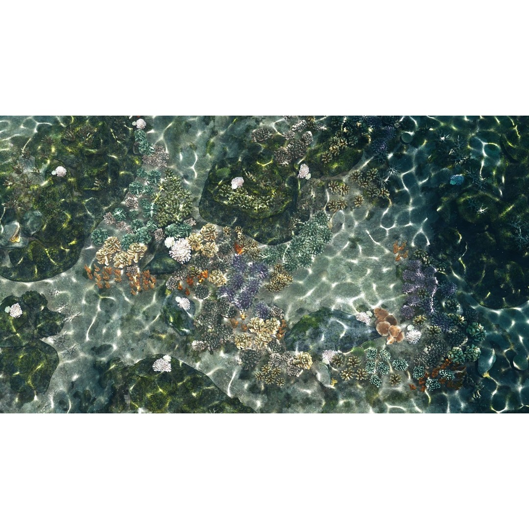Underwater Coral Reef Habitat 3D Model – Low Poly Game Asset, FBX - View 3