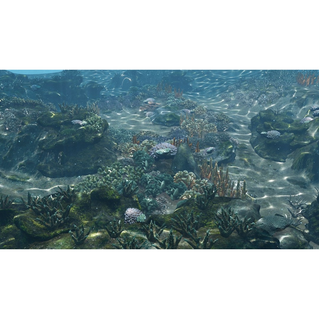 Underwater Coral Reef Habitat 3D Model – Low Poly Game Asset, FBX - View 4