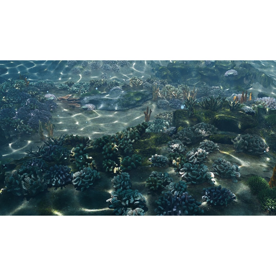 Underwater Coral Reef Habitat 3D Model – Low Poly Game Asset, FBX - View 5