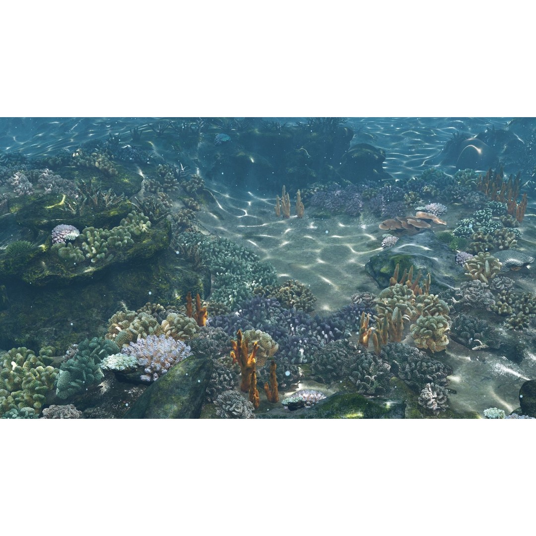 Underwater Coral Reef Habitat 3D Model – Low Poly Game Asset, FBX - View 6