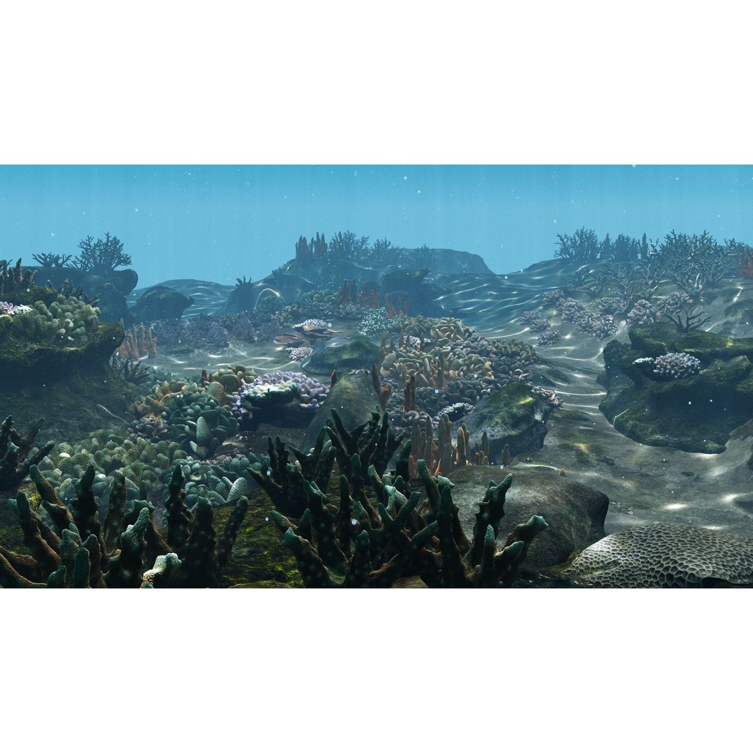 Underwater Coral Reef Habitat 3D Model – Low Poly Game Asset, FBX - View 7