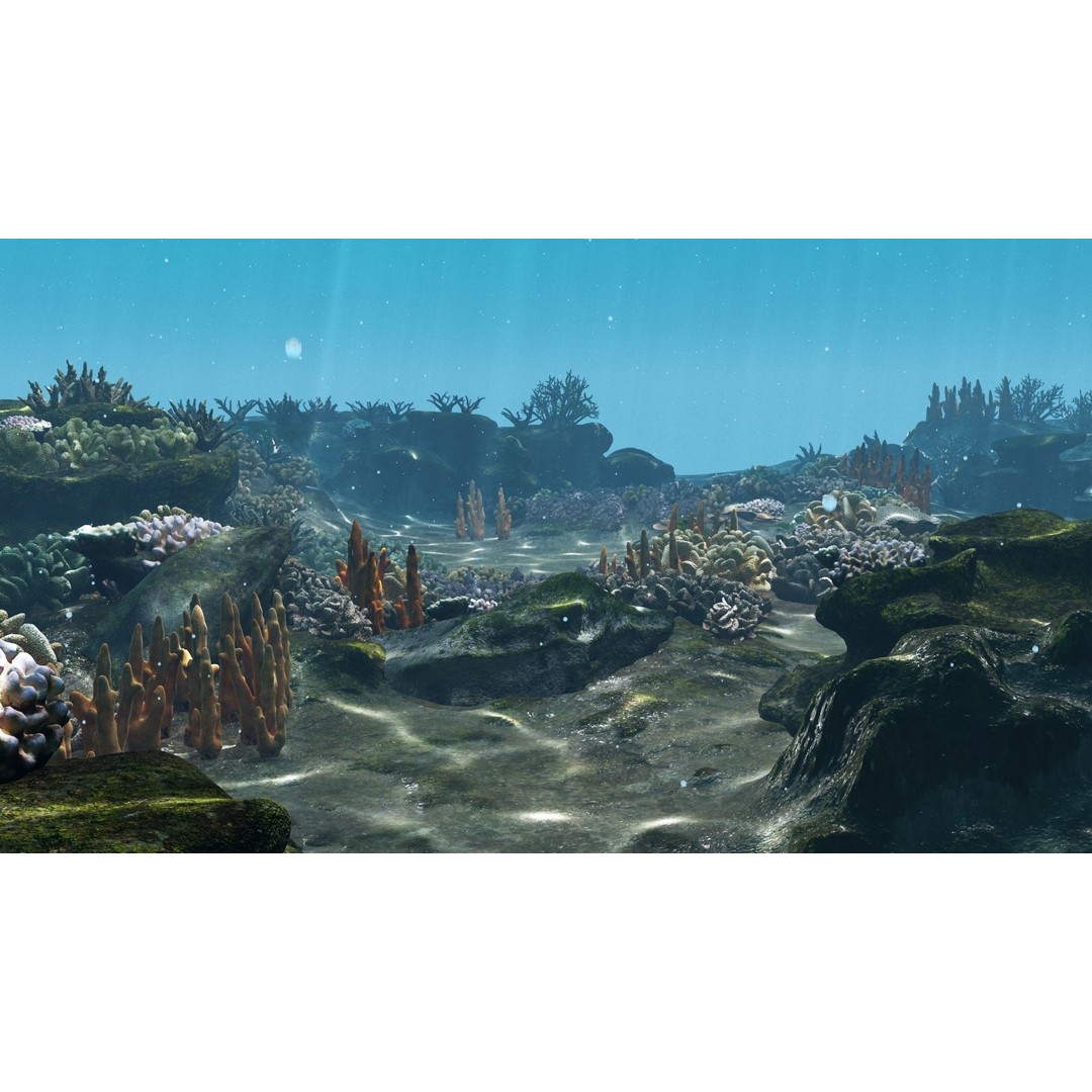 Underwater Coral Reef Habitat 3D Model – Low Poly Game Asset, FBX - View 9