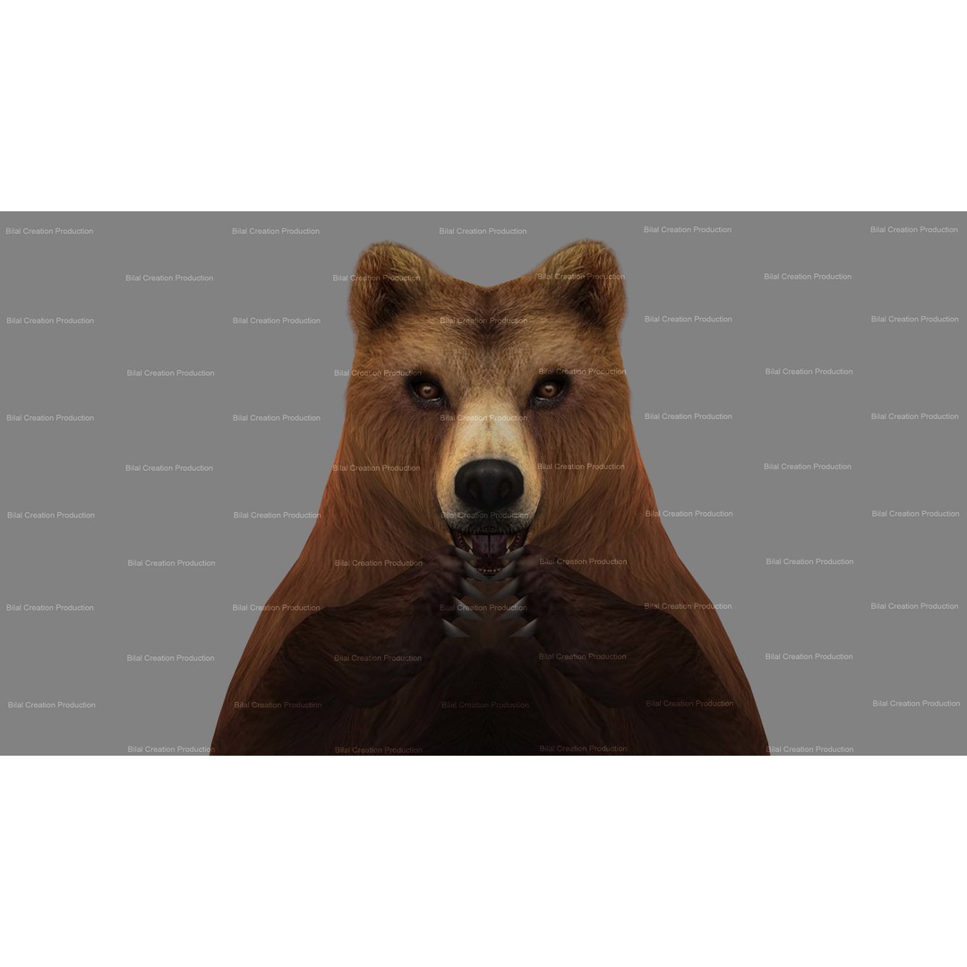 Rigged Bear 3D Model – Low Poly Animated Character, FBX, Blender - View 10