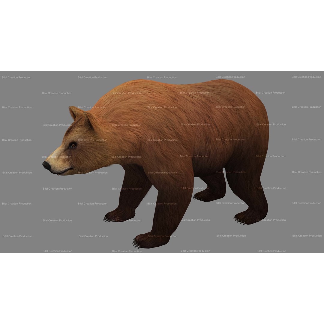 Rigged Bear 3D Model – Low Poly Animated Character, FBX, Blender - View 11