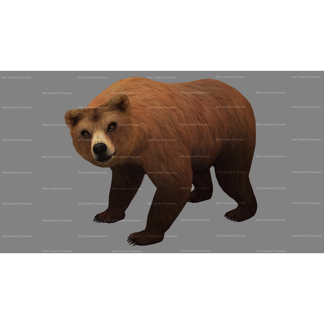 Rigged Bear 3D Model – Low Poly Animated Character, FBX, Blender - View 12