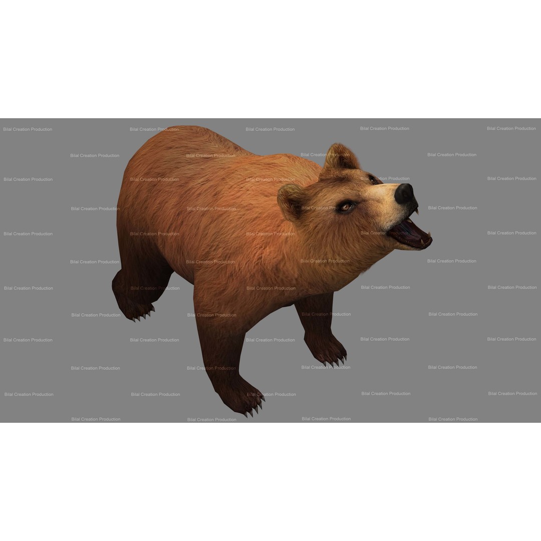 Rigged Bear 3D Model – Low Poly Animated Character, FBX, Blender - View 14