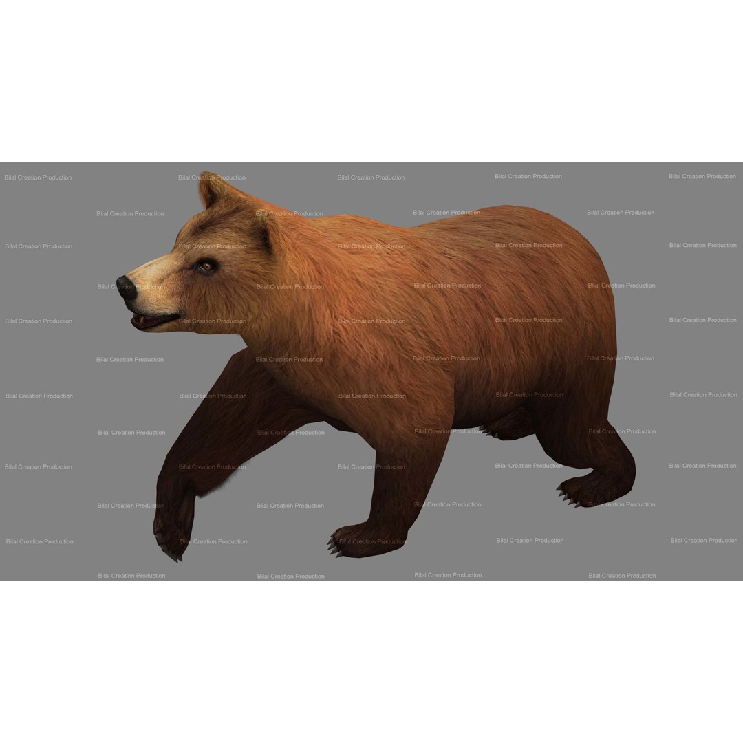 Rigged Bear 3D Model – Low Poly Animated Character, FBX, Blender - View 15