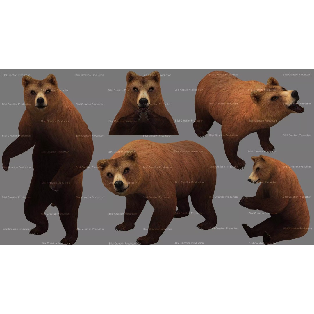 Rigged Bear 3D Model – Low Poly Animated Character, FBX, Blender - View 2
