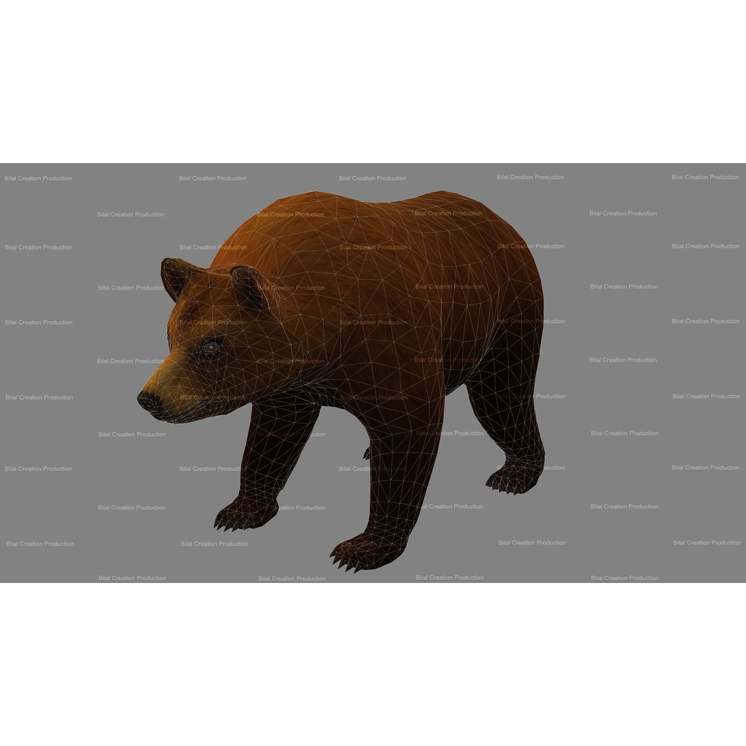 Rigged Bear 3D Model – Low Poly Animated Character, FBX, Blender - View 20
