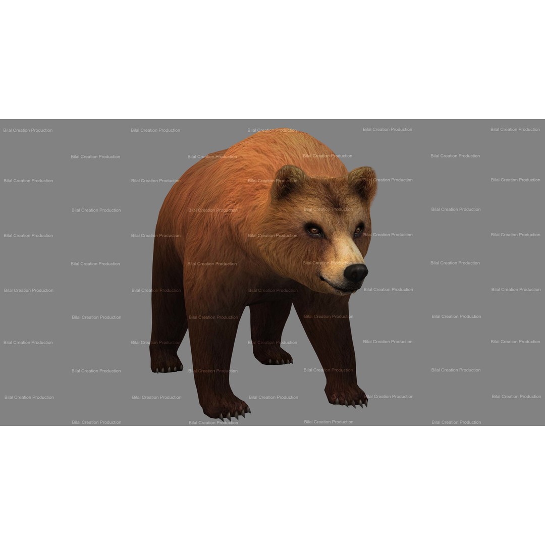 Rigged Bear 3D Model – Low Poly Animated Character, FBX, Blender - View 3