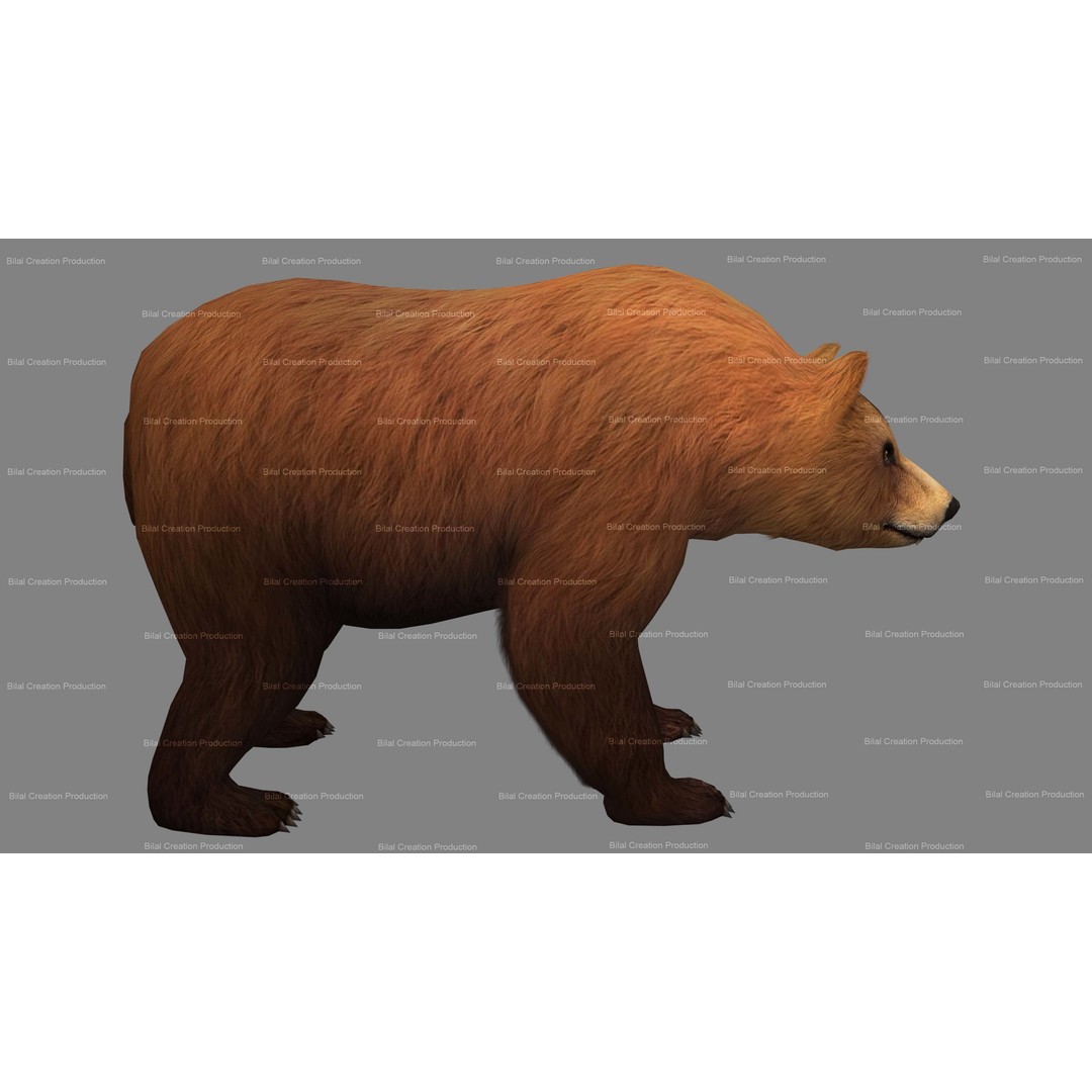 Rigged Bear 3D Model – Low Poly Animated Character, FBX, Blender - View 4