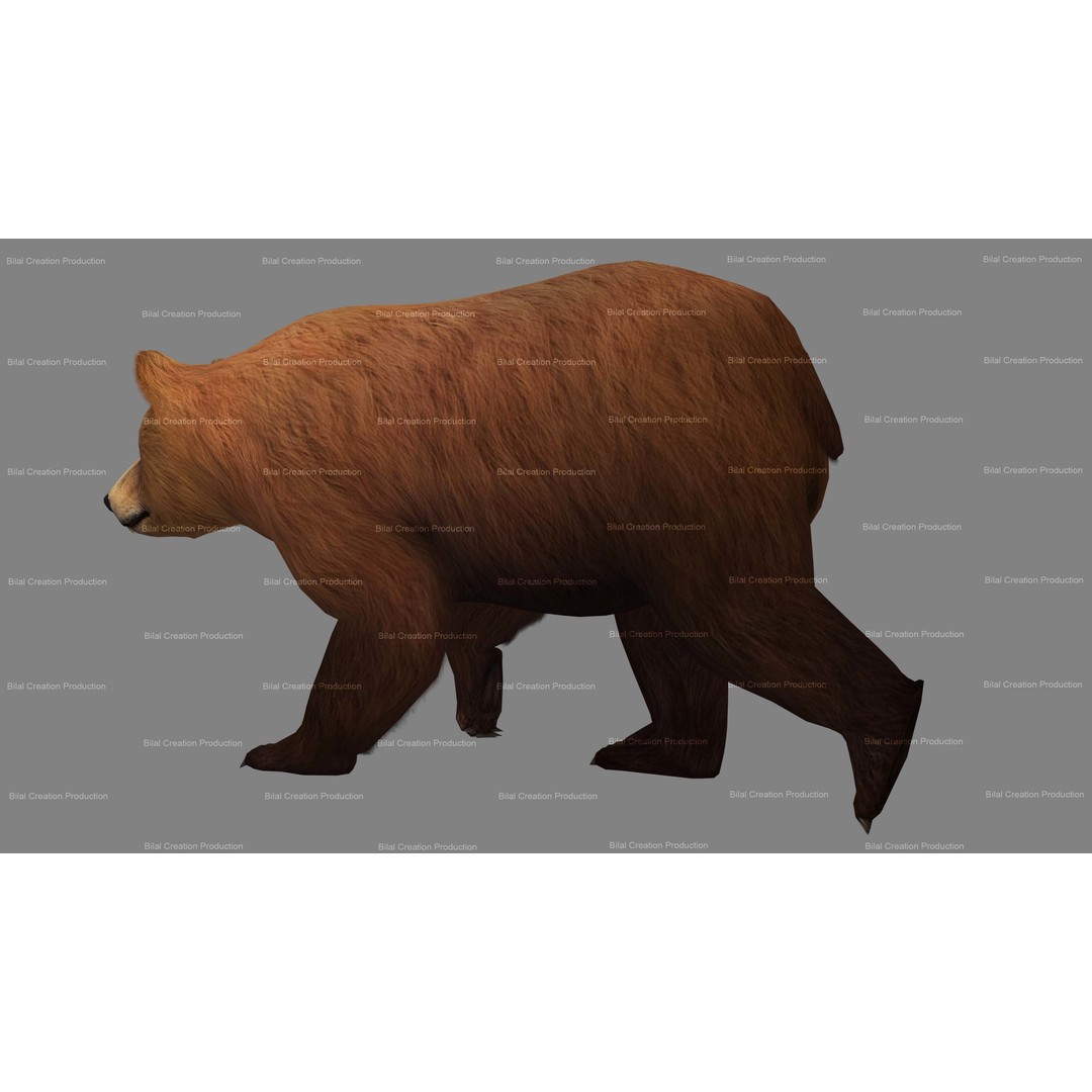 Rigged Bear 3D Model – Low Poly Animated Character, FBX, Blender - View 5