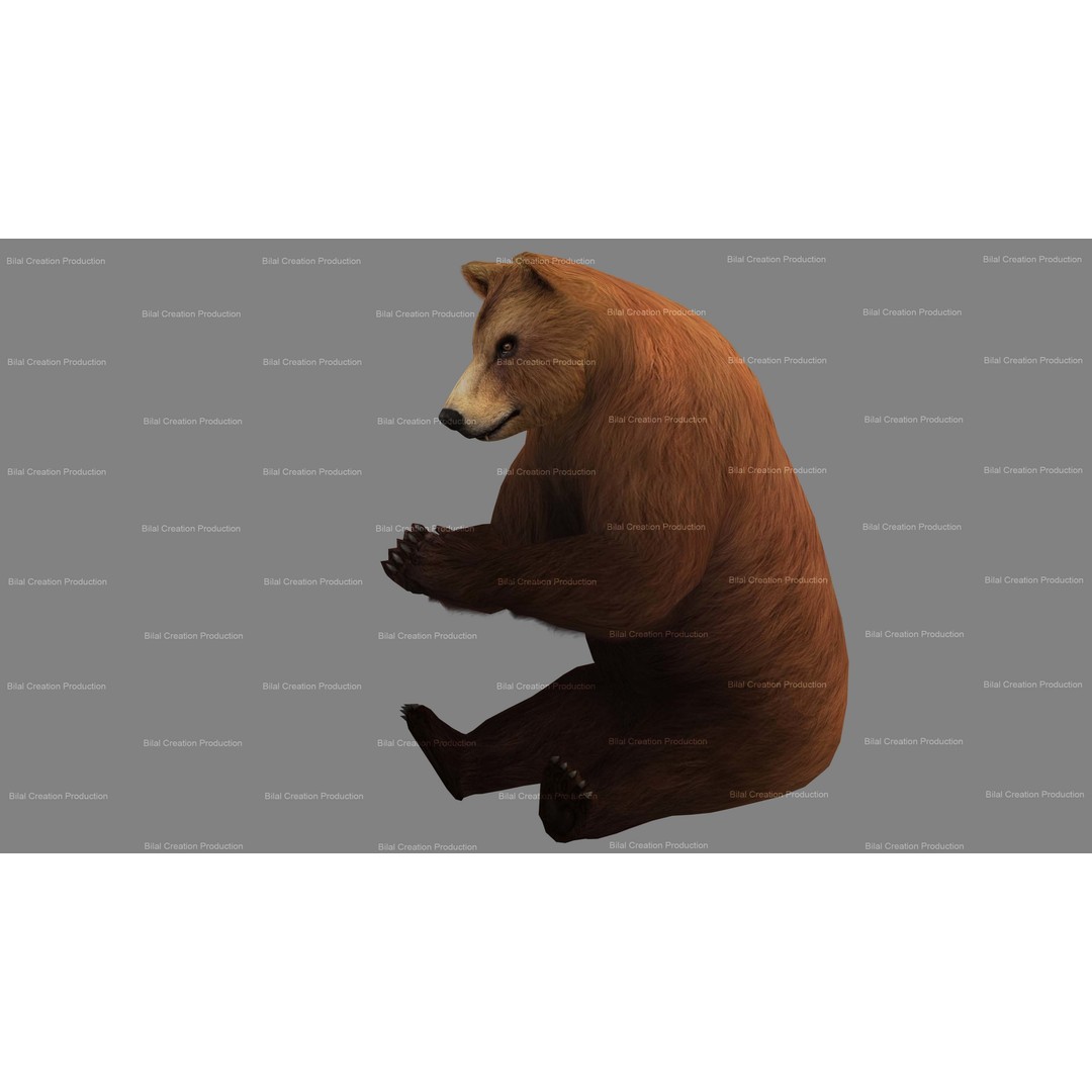 Rigged Bear 3D Model – Low Poly Animated Character, FBX, Blender - View 6