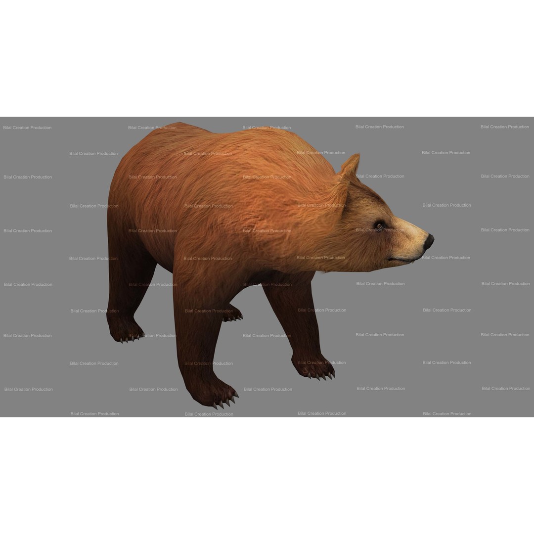 Rigged Bear 3D Model – Low Poly Animated Character, FBX, Blender - View 7