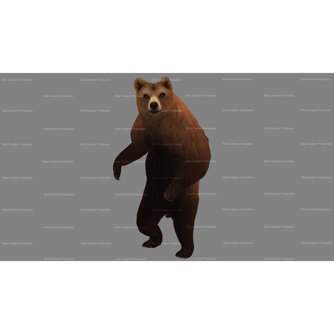 Rigged Bear 3D Model – Low Poly Animated Character, FBX, Blender - View 8