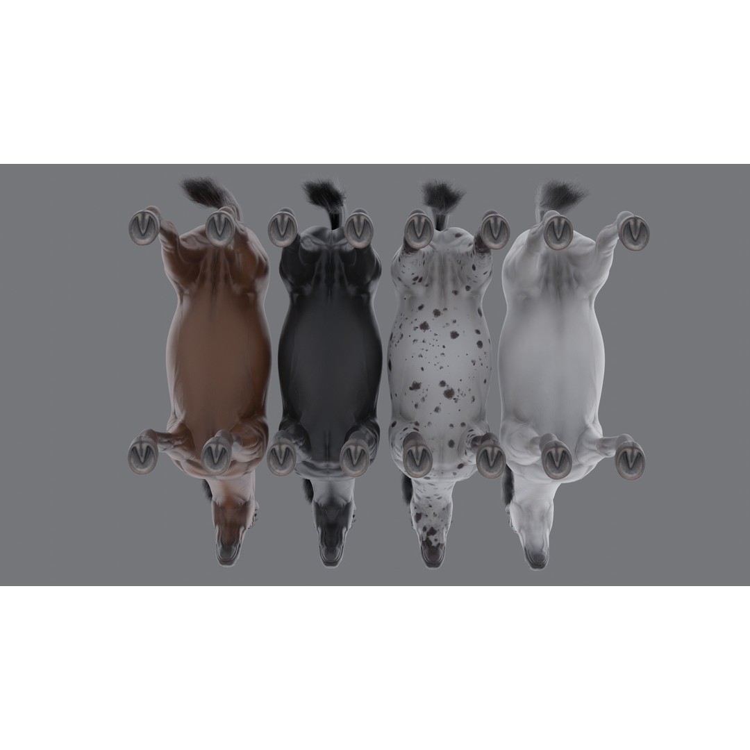 Rigged Horse 3D Model – PBR Realistic Animal for Animation, FBX, OBJ - View 14
